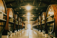 Noilly Prat Vermouth Barrels