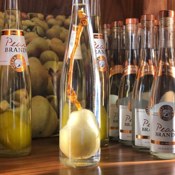 Top 10 Best Eau de Vie What Is Eau de Vie & What Does It Mean?